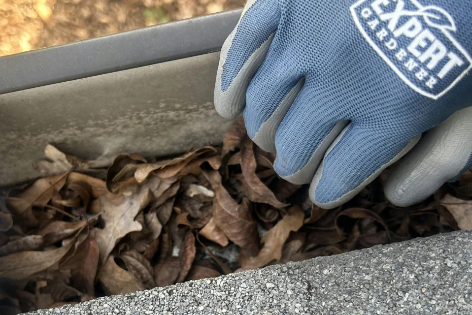 Gutter Cleaning Rock Hill, MO